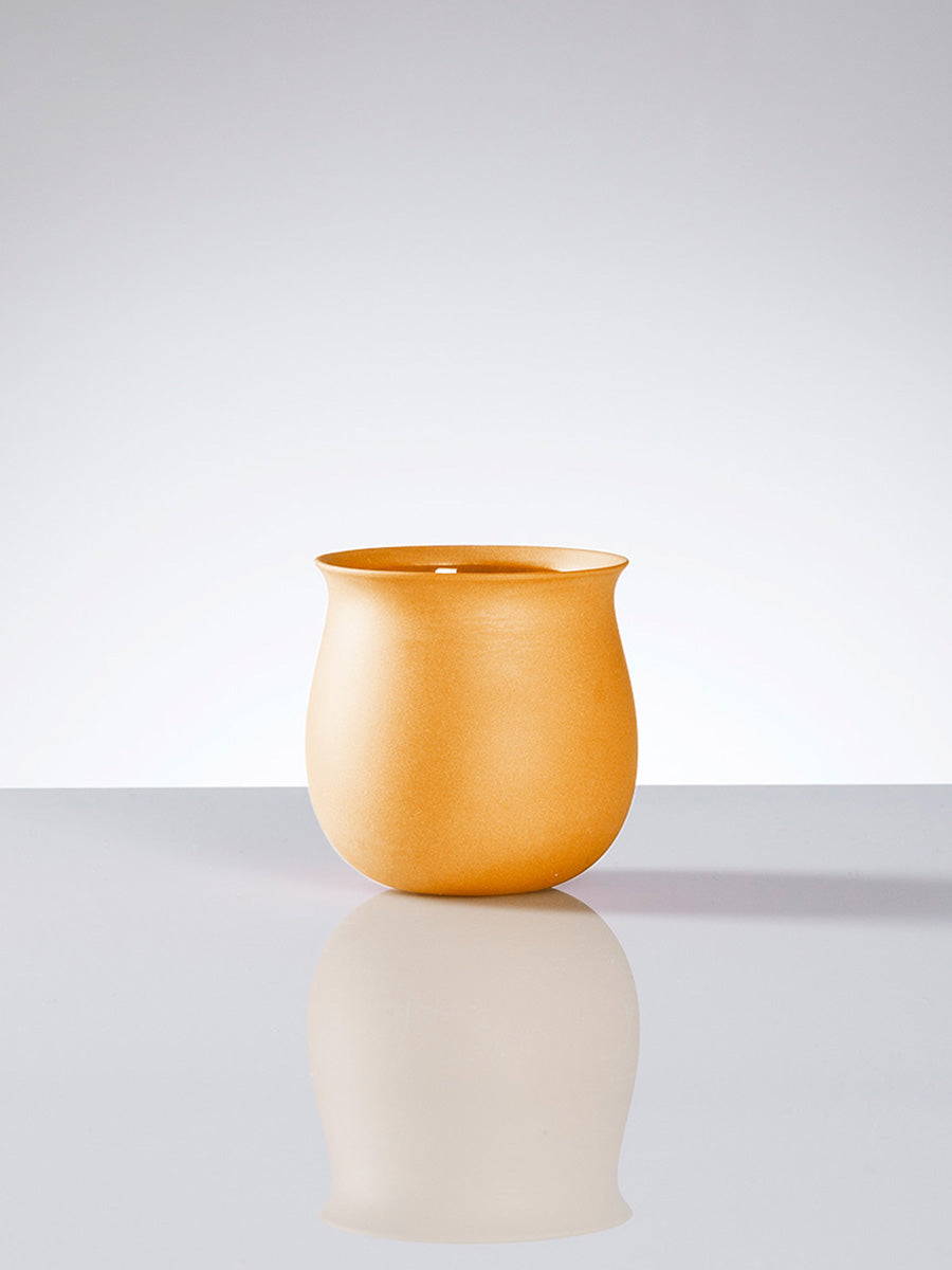 TULIP, BIG | Orange