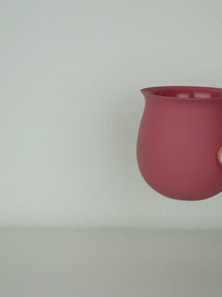 TULIP, BIG | Rose